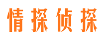 河南市侦探调查公司